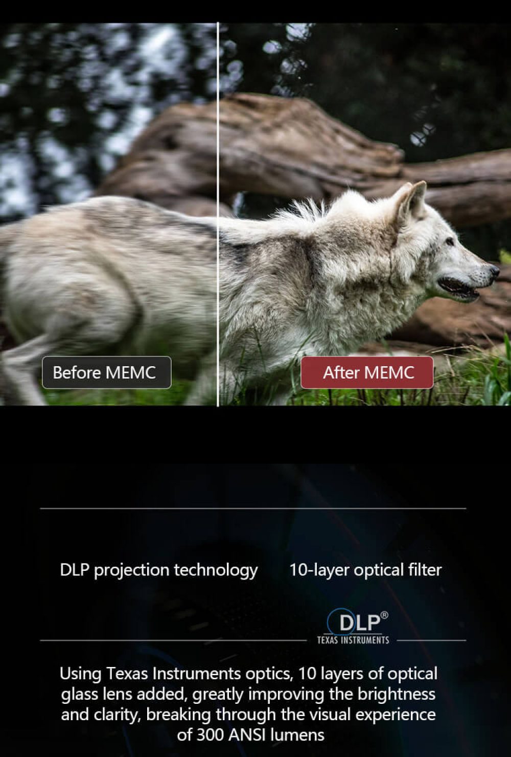 P302 Portable Projector DLP